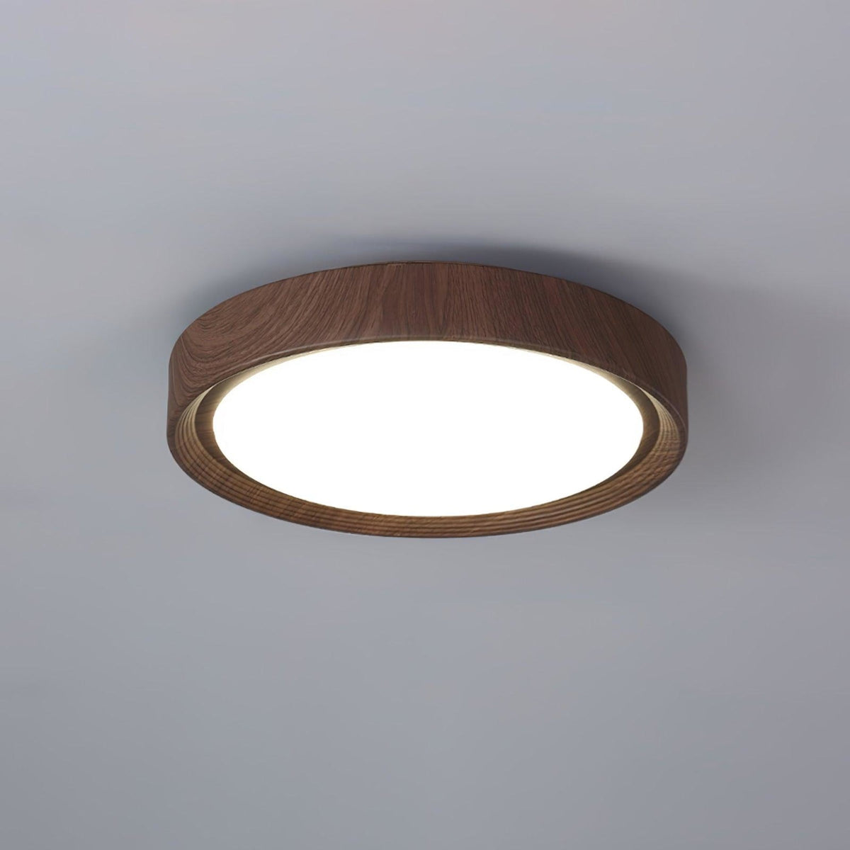 Scandinavian Iron Flush Ø30 Ceiling Light 1-Light