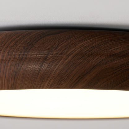 Scandinavian Iron Flush Ø30 Ceiling Light 1-Light