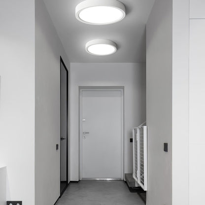 Minimalist Iron Slim Low-Profile Ceiling Light 1-Light