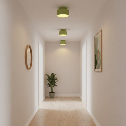 Modern Resin Semi-Flush Ceiling Light 1-Light