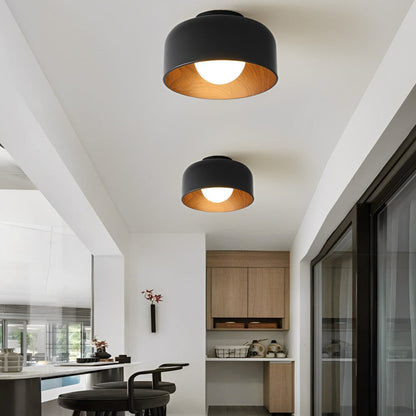 Modern Iron Semi-Flush Ceiling Light 1-Light