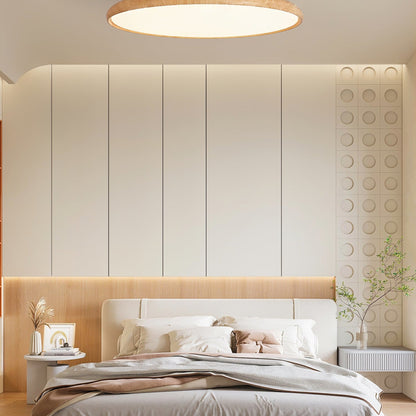 Scandinavian Iron Tri-Colour Ceiling Light 1-Light