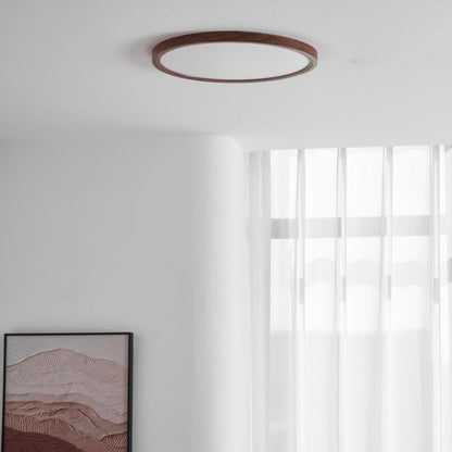 Minimalist Abs Slim Profile Ceiling Light 1-Light