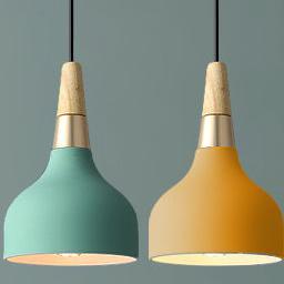 Contemporary Macaron Disc Pendant 1-Light