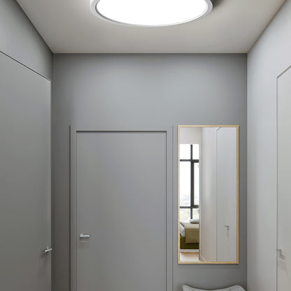 Minimalist Iron Slim Low-Profile Ceiling Light 1-Light