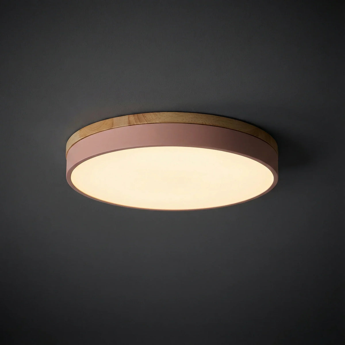 Contemporary Wood Trim Ceiling Light 1-Light