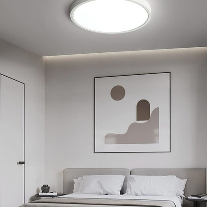 Minimalist Iron Slim Low-Profile Ceiling Light 1-Light