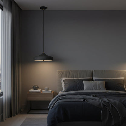 Modern Iron Pendant Light 1-Light