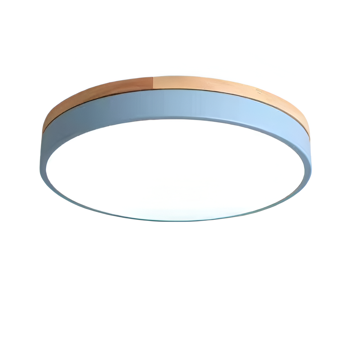 Nordic Iron Acrylic Diffuser Ceiling Light 1-Light