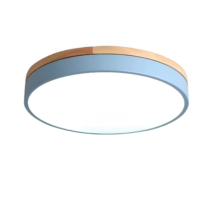 Nordic Iron Acrylic Diffuser Ceiling Light 1-Light