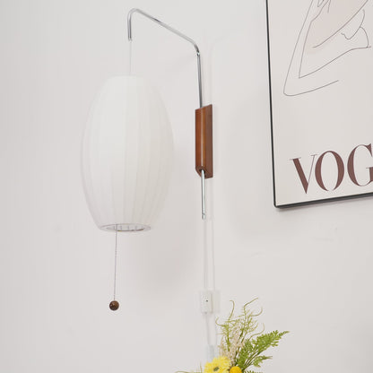 Contemporary Polymer Pull Chain Wall Light 1-Light