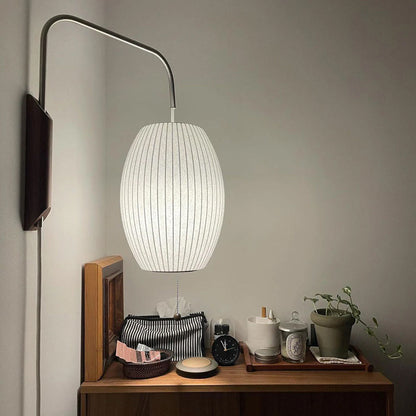 Contemporary Polymer Pull Chain Wall Light 1-Light