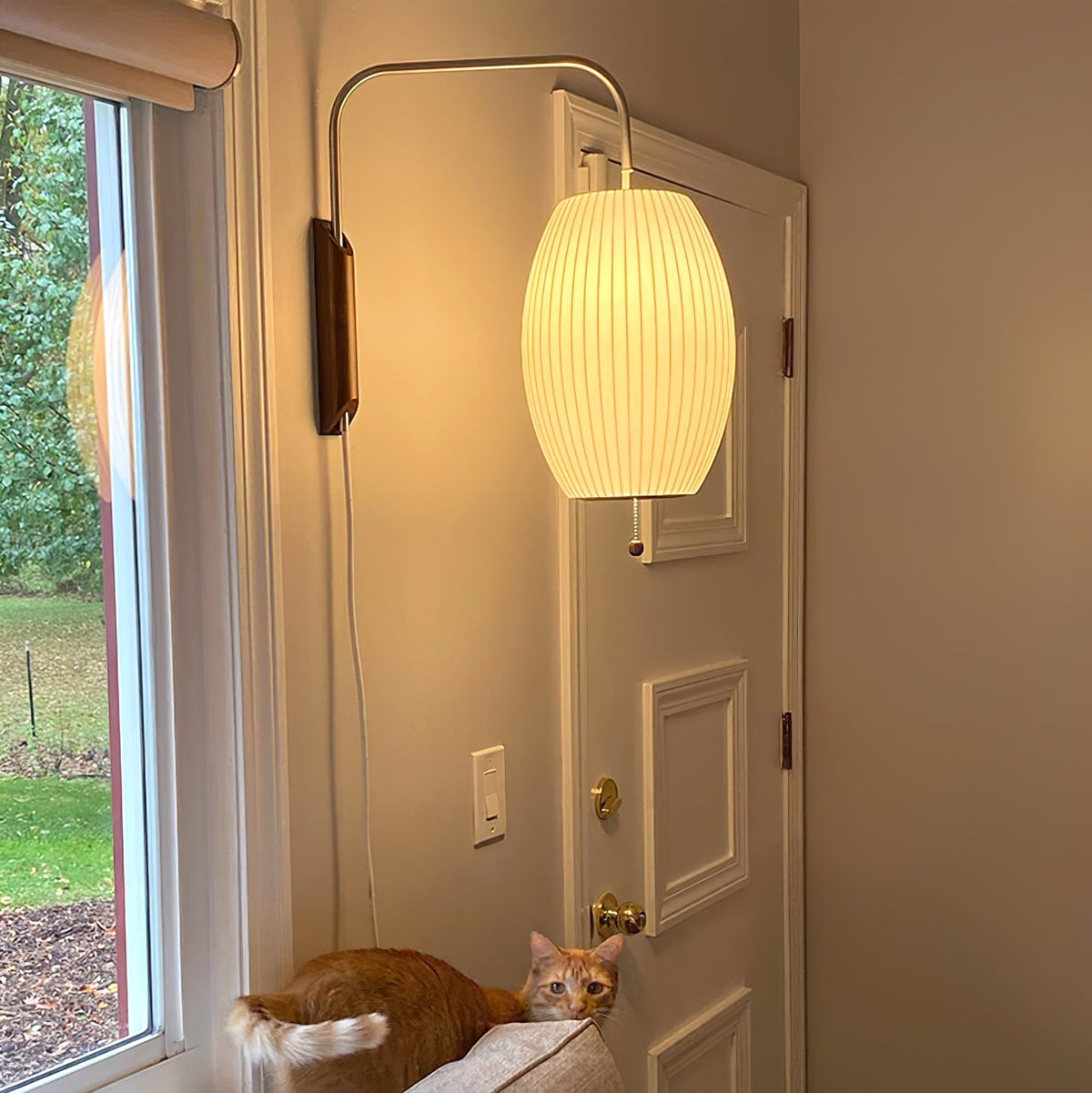 Contemporary Polymer Pull Chain Wall Light 1-Light