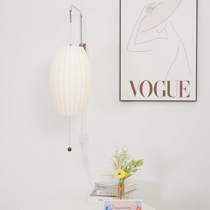 Contemporary Polymer Pull Chain Wall Light 1-Light