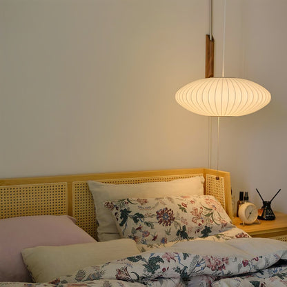 Contemporary Polymer Pull Chain Wall Light 1-Light