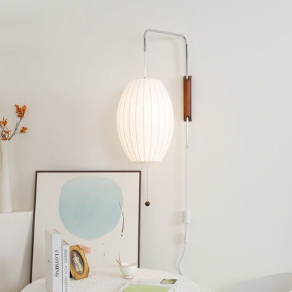 Contemporary Polymer Pull Chain Wall Light 1-Light
