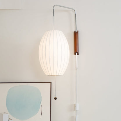 Contemporary Polymer Pull Chain Wall Light 1-Light