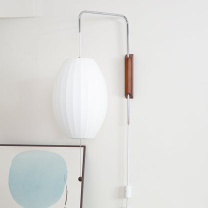 Contemporary Polymer Pull Chain Wall Light 1-Light