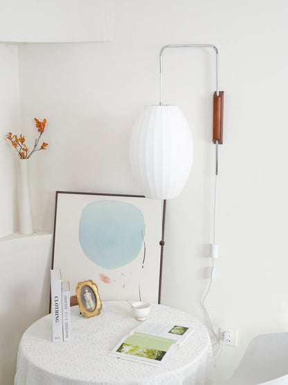 Contemporary Polymer Pull Chain Wall Light 1-Light