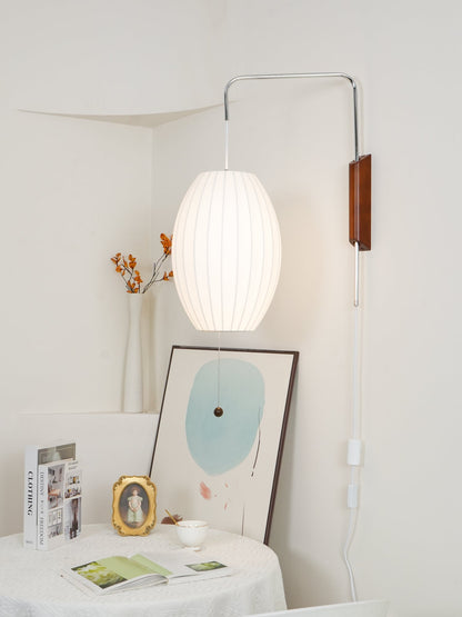 Contemporary Polymer Pull Chain Wall Light 1-Light