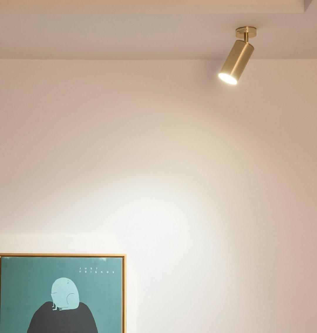 Contemporary Brass Double Cylinder Adjustable Wall Spotlight