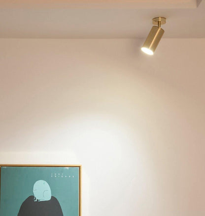 Contemporary Brass Double Cylinder Adjustable Wall Spotlight