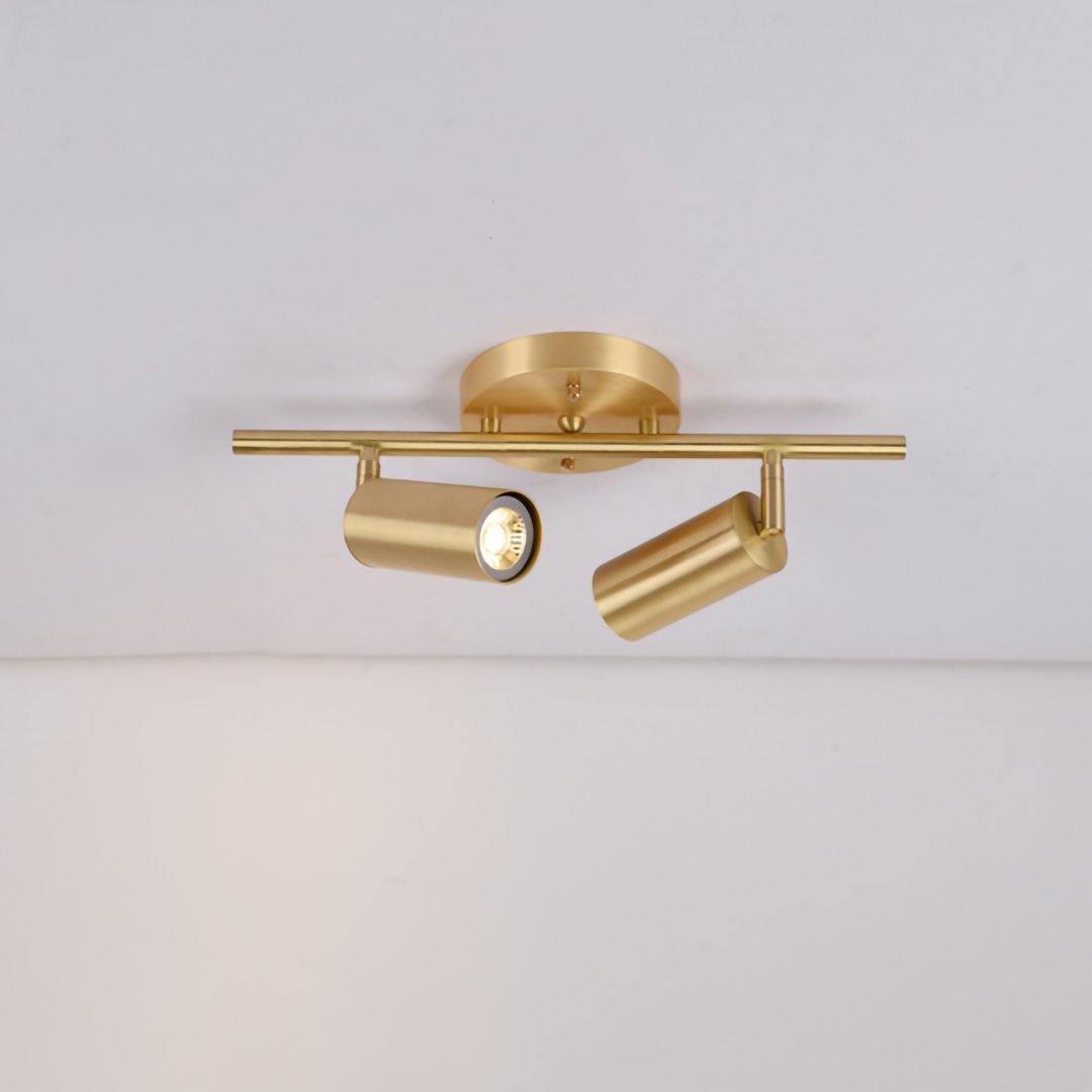 Contemporary Brass Double Cylinder Adjustable Wall Spotlight