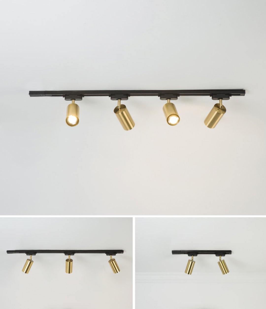 Contemporary Brass Double Cylinder Adjustable Wall Spotlight