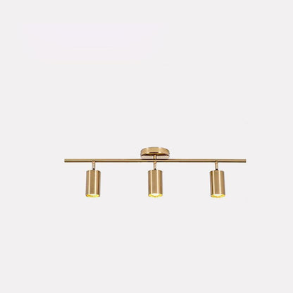 Contemporary Brass Double Cylinder Adjustable Wall Spotlight