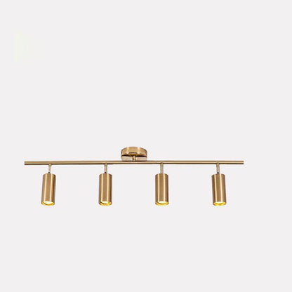Contemporary Brass Double Cylinder Adjustable Wall Spotlight