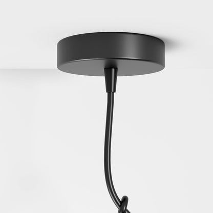 Contemporary Iron Adjustable Cord Pendant Light 1-Light