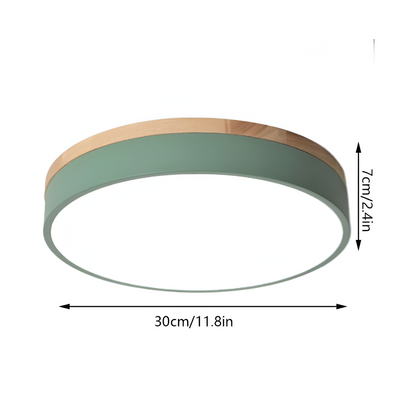 Nordic Iron Acrylic Diffuser Ceiling Light 1-Light