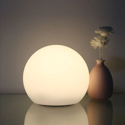 Modern Pe Solar USB Table Lamp 1-Light