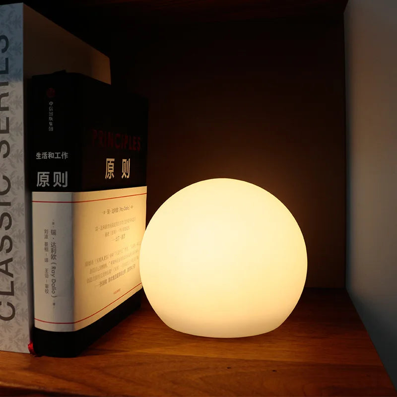 Modern Pe Solar USB Table Lamp 1-Light