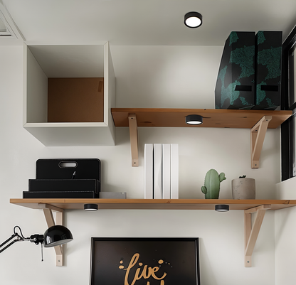 Modern Iron Flush Ø7.5cm Ceiling Light 1-Light