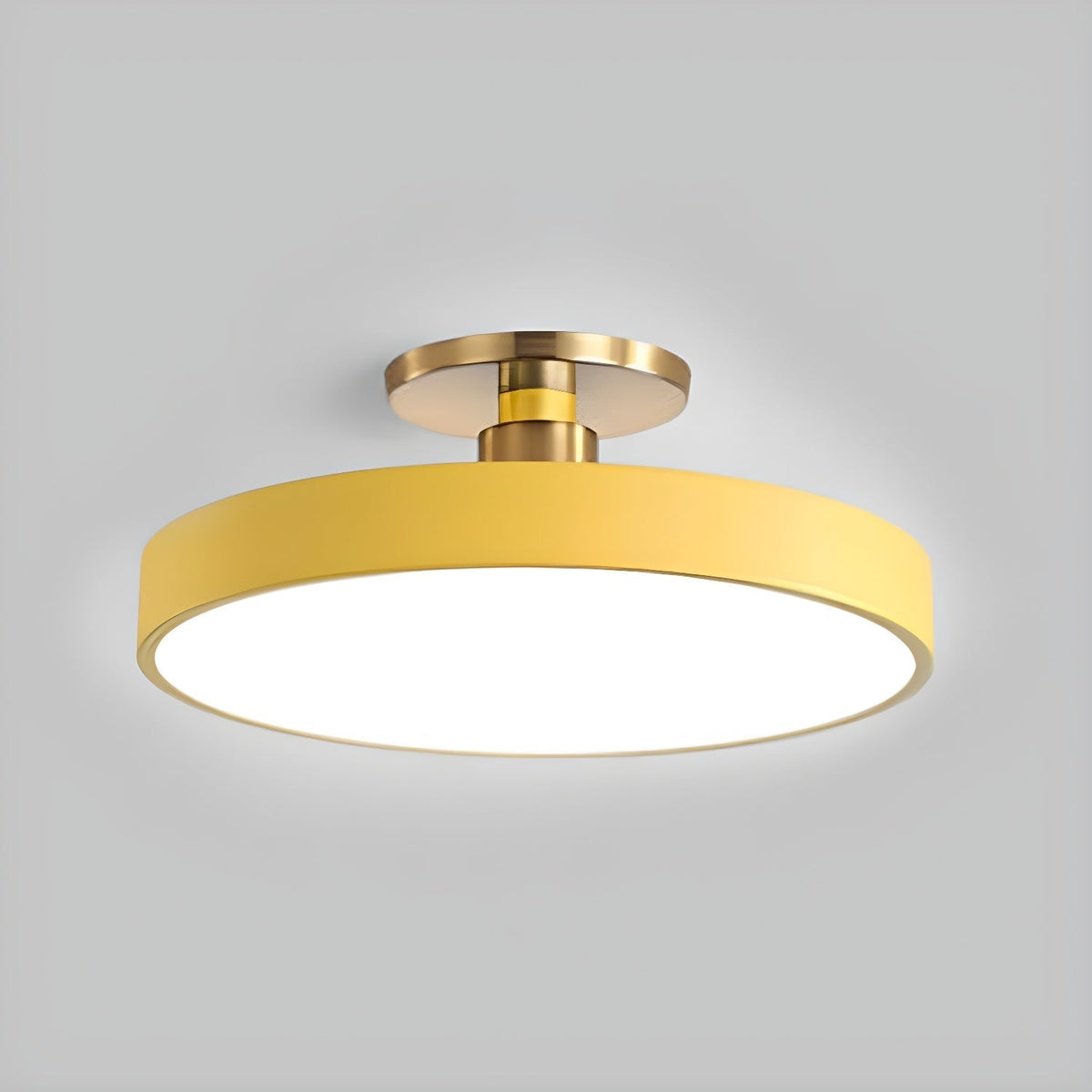 Contemporary Round LED Flush Mount Ceiling Light 1-Light