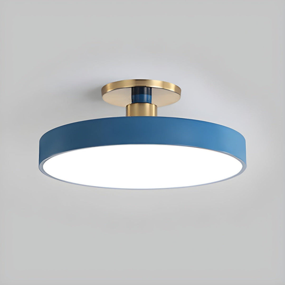 Contemporary Round LED Flush Mount Ceiling Light 1-Light
