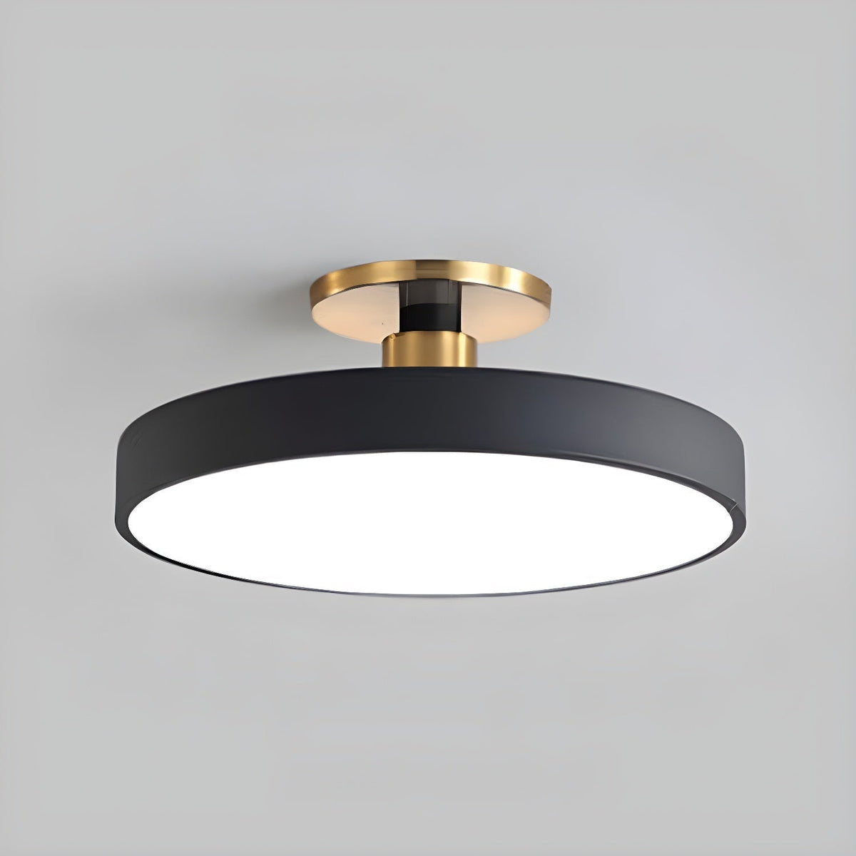 Contemporary Round LED Flush Mount Ceiling Light 1-Light