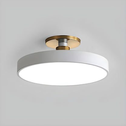 Contemporary Round LED Flush Mount Ceiling Light 1-Light