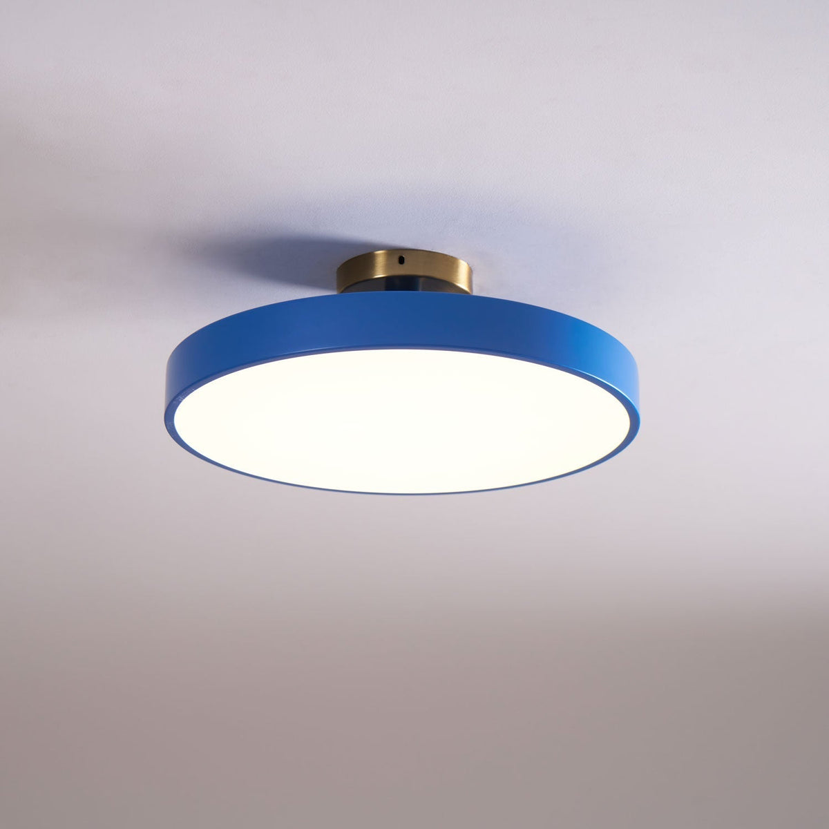 Contemporary Round LED Flush Mount Ceiling Light 1-Light