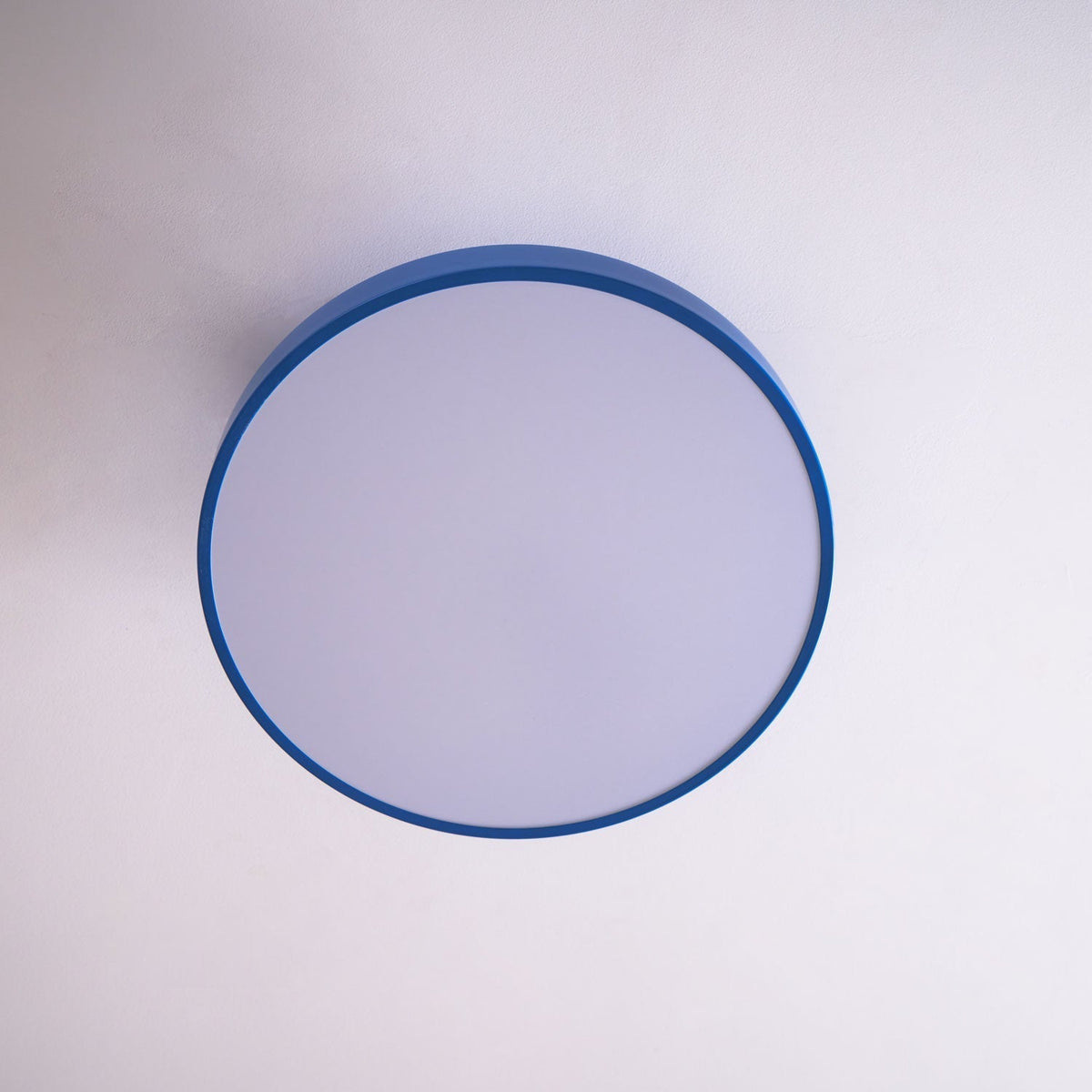Contemporary Round LED Flush Mount Ceiling Light 1-Light