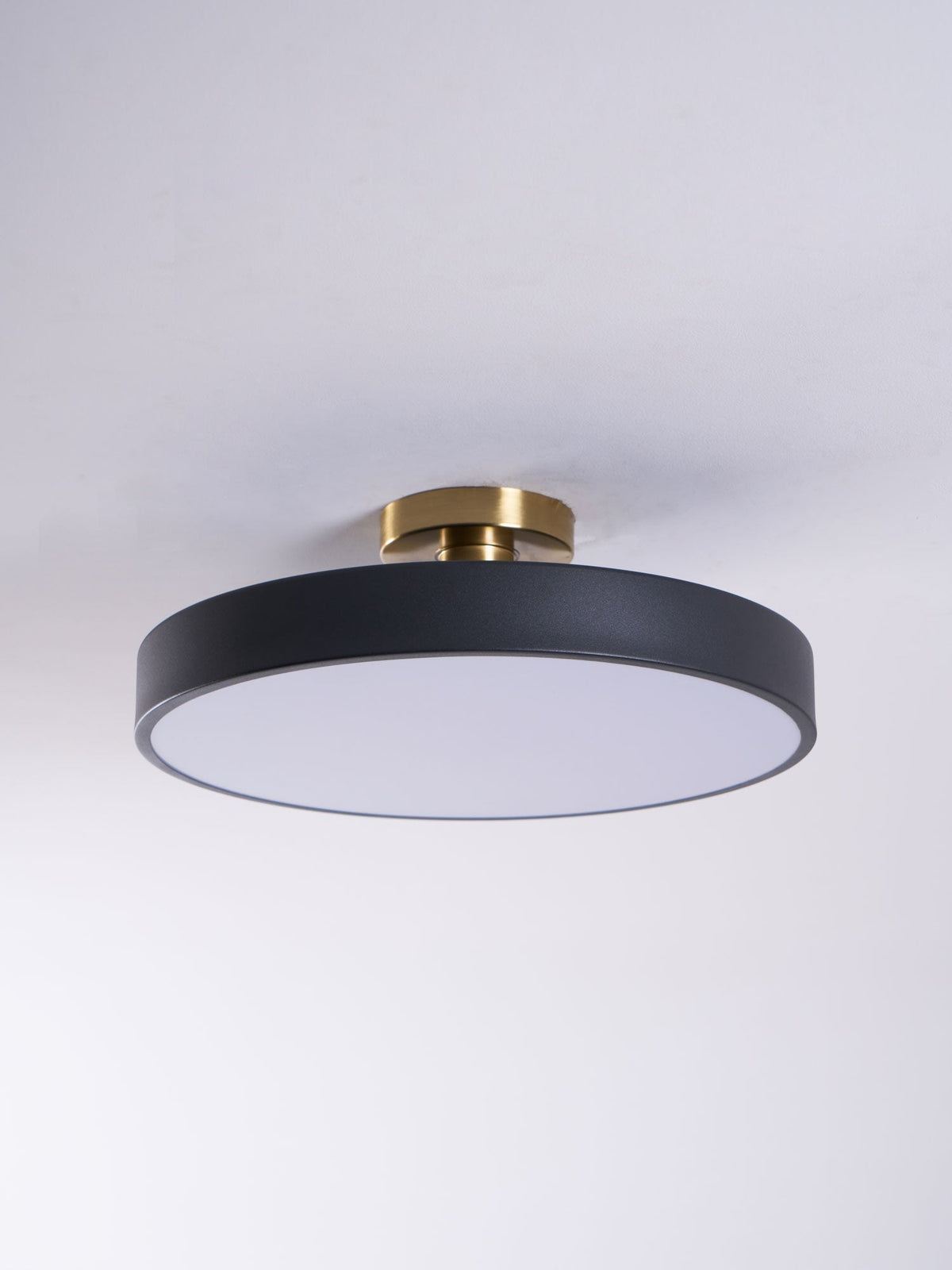 Contemporary Round LED Flush Mount Ceiling Light 1-Light