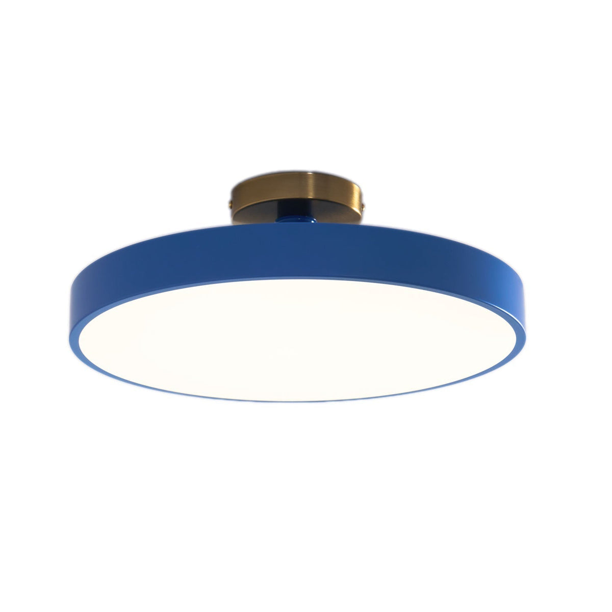 Contemporary Round LED Flush Mount Ceiling Light 1-Light