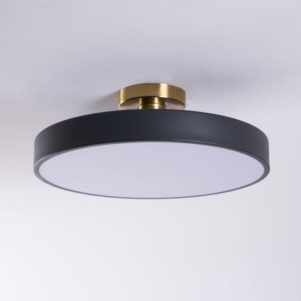 Contemporary Round LED Flush Mount Ceiling Light 1-Light