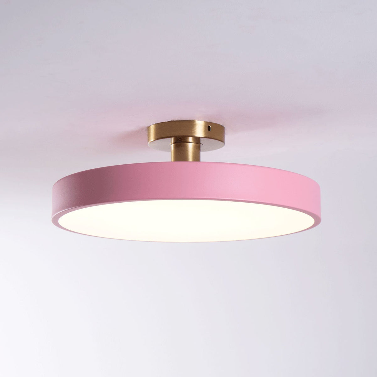 Contemporary Round LED Flush Mount Ceiling Light 1-Light