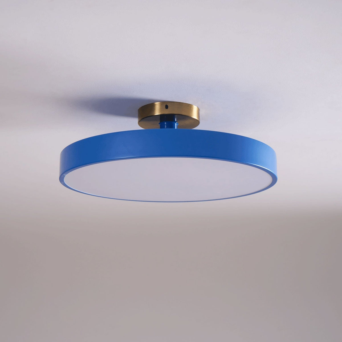Contemporary Round LED Flush Mount Ceiling Light 1-Light