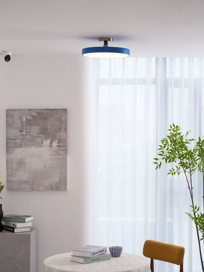 Contemporary Round LED Flush Mount Ceiling Light 1-Light