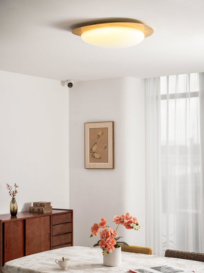 Contemporary Iron Wood-Trim Rim Ceiling Light 1-Light