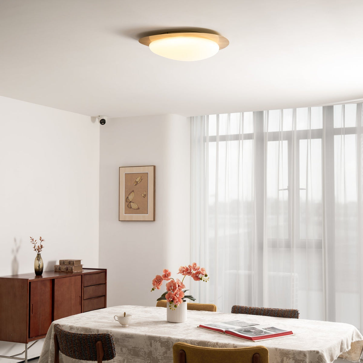 Contemporary Iron Wood-Trim Rim Ceiling Light 1-Light