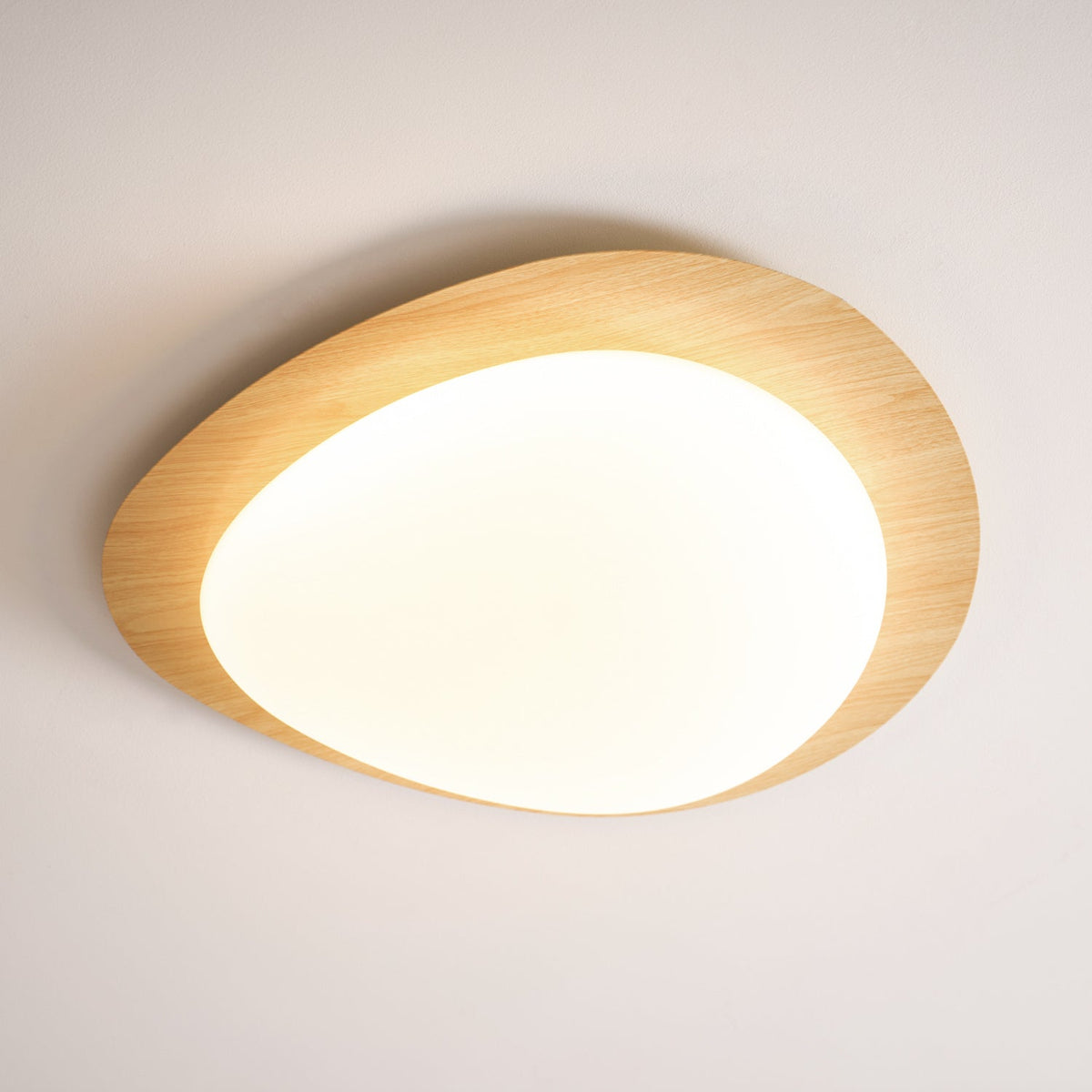 Contemporary Iron Wood-Trim Rim Ceiling Light 1-Light